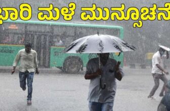 raindp 1773711321.jpeg