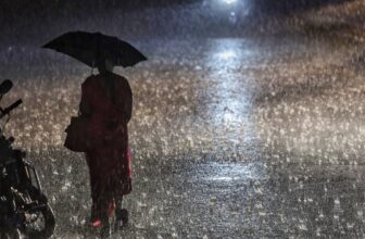 raindp 1774285641.jpeg