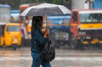 rainu 1774902080.jpeg