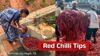 red chilli tips dp jpg 1773319049897 1773319050176 1200x675.jpg