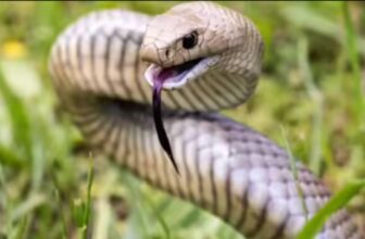 screenshot4687 1773374145.jpg