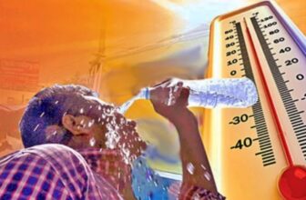 tapdp 1772934630.jpeg