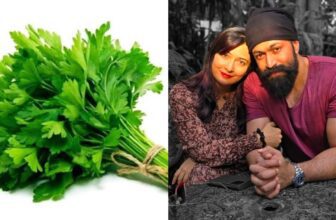 yashdp 1772944699.jpeg