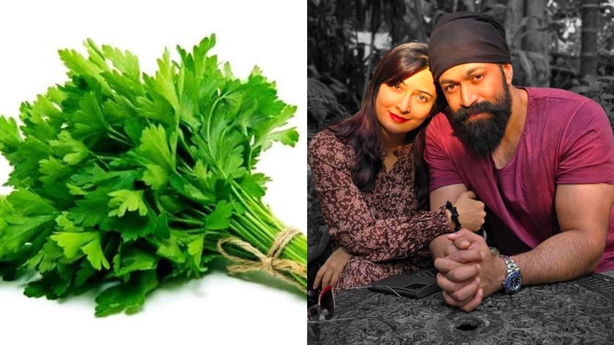 yashdp 1772944699.jpeg