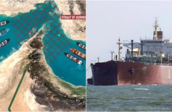 zoomis 1774152716.jpg