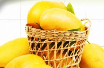 10 most expensive mango 2 1775552926.jpg