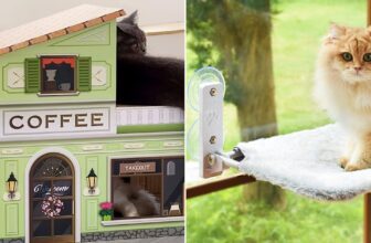 55 weird things for.jpg