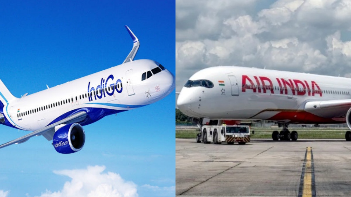 collage 1747100342 1775012569.jpg