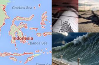 collage 1775091936.jpg