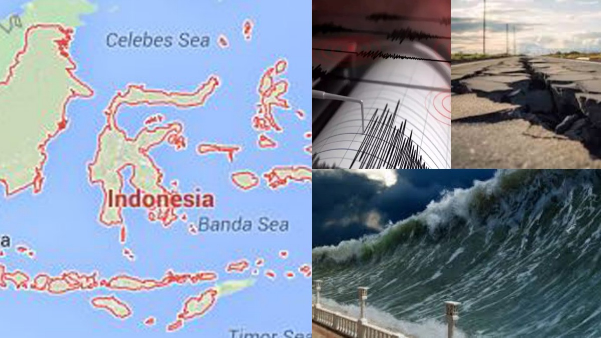 collage 1775091936.jpg