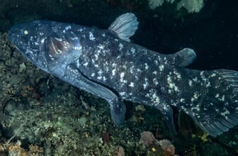 collage 1775281144.jpg