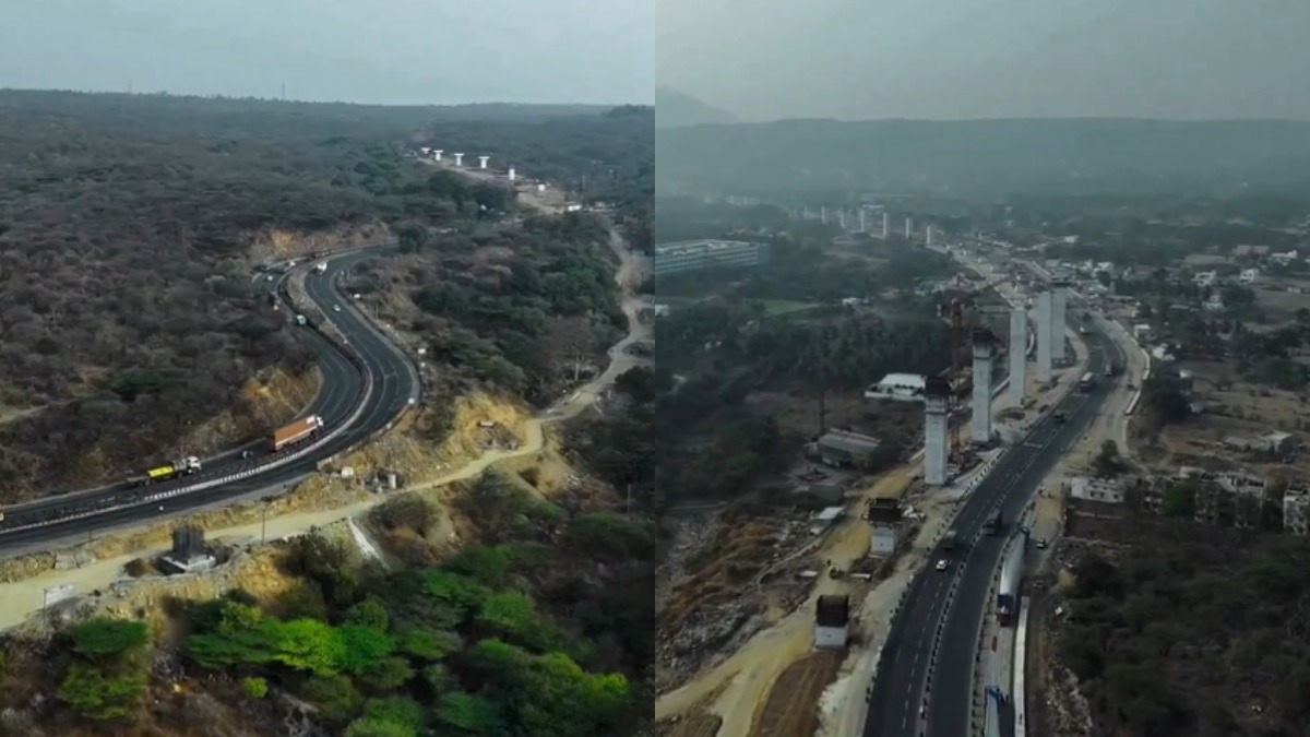 collage 1775439470.jpg