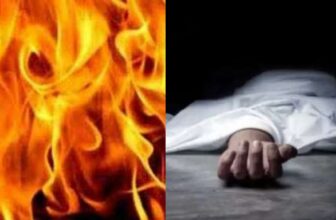 collage 1775447015.jpg