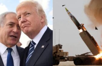 collage 1775619216.jpg