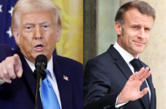 collage 1775784218.jpg