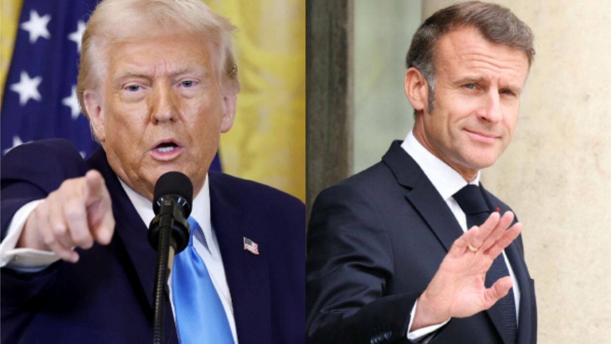 collage 1775784218.jpg