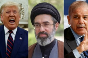 collage 1775957240.jpg