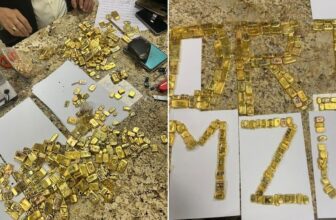 gold85 1775823960.jpg