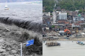 indonesiadp 1775096823.jpg