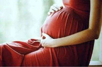 karnatakadp9 1775291965.jpg