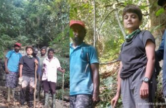 kodagutrek dp 1775463850.jpg