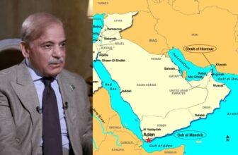 pakistanpm 1775393156.jpg