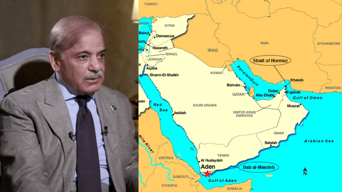 pakistanpm 1775393156.jpg