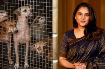 ramdp 1775918674.jpeg