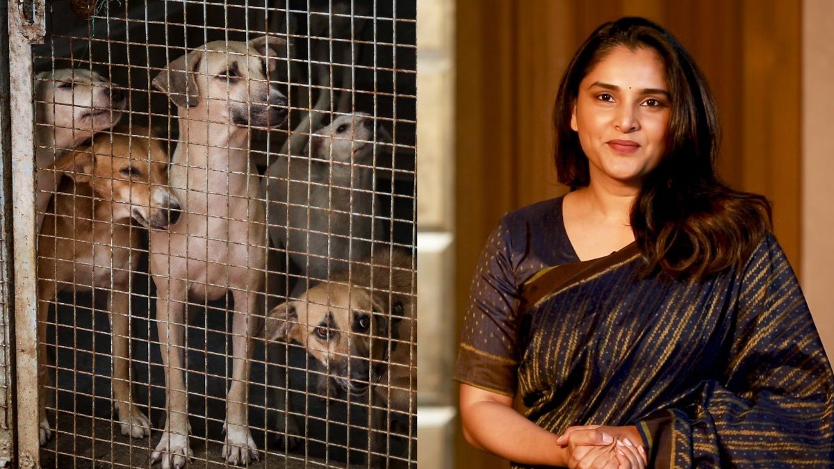 ramdp 1775918674.jpeg