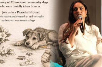 ramyaatdogprotest 1775931417.jpg