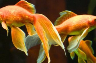 screenshot2026 04 03090104 down 1775187176.jpg