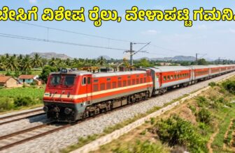 summerspecialtraindp 1775955726.jpg