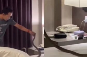 thailandhotelsnake 1775475028.jpg