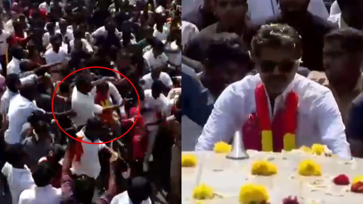 vidse 1775813368.jpg