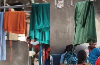 viralvideo11 1775032593.jpg