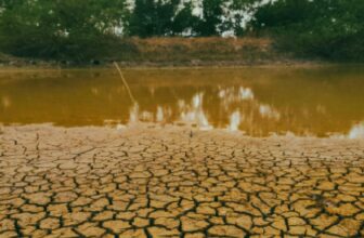 watercrisis dp 1775362876.jpg