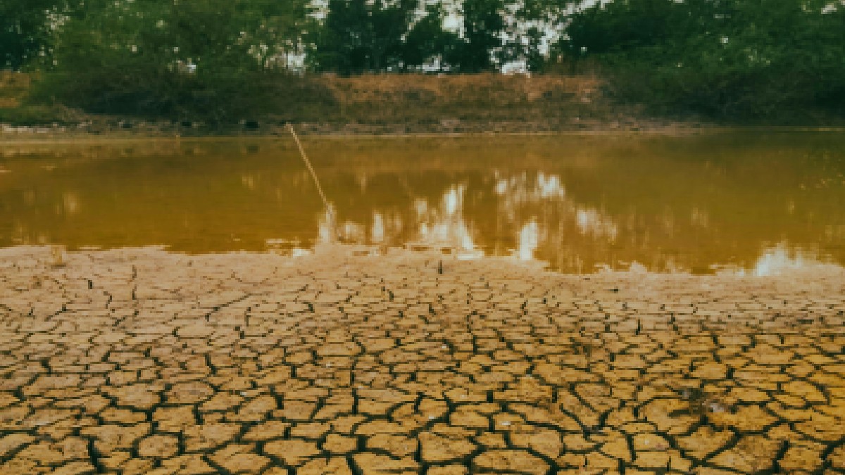 watercrisis dp 1775362876.jpg