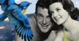 What The “Bird Test” Really Says About Your Relationship