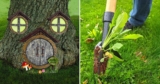 50 Weird Things For Your Backyard That Are Pure Genius