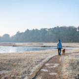 Understanding the Mind-Body Connection in C…