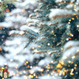 Coping Ahead for the Holidays