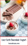 Low Carb Chocolate Yogurt l Honest Mum Food Blog