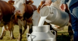 In Florida, Raw Milk Has Sickened 21 People, Here’s What You Need To Know