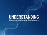 Understanding Hexosaminidase A Deficiency – BabieBlue