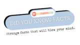 Did You Know Facts – Brain of a newborn