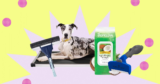8 Dog Products To Keep Your Home Fur-Free