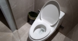 Would You Buy A Toilet Camera That Analyzes Your Poop? Yes, It’s A Real Thing
