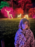 Visiting Glow At RHS Harlow Carr