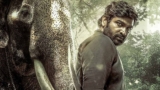 Kaattaan (Muthu Alias Kaattaan) OTT Release Date And Platform: When And Where To Watch Vijay Sethupathi Starrer Series