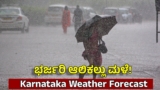 Rain Alert: ಕರ್ನಾಟಕದ ಈ 9 ಜಿಲ್ಲೆಗಳಿಗೆ ಮುಂದಿನ 2 ದಿನ ವ್ಯಾಪಕ ಆಲಿಕಲ್ಲು ಮಳೆ ಎಚ್ಚರಿಕೆ | Karnataka Rain Forecast: Orange Alert for 9 Districts; Hailstorms and Heavy Winds Forecasted